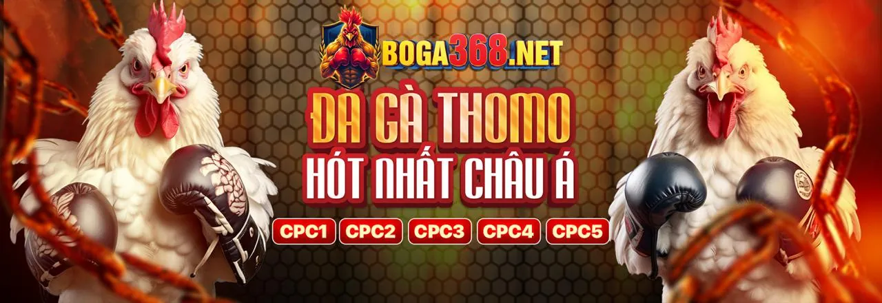 Đá Gà Trực Tuyến KJC App